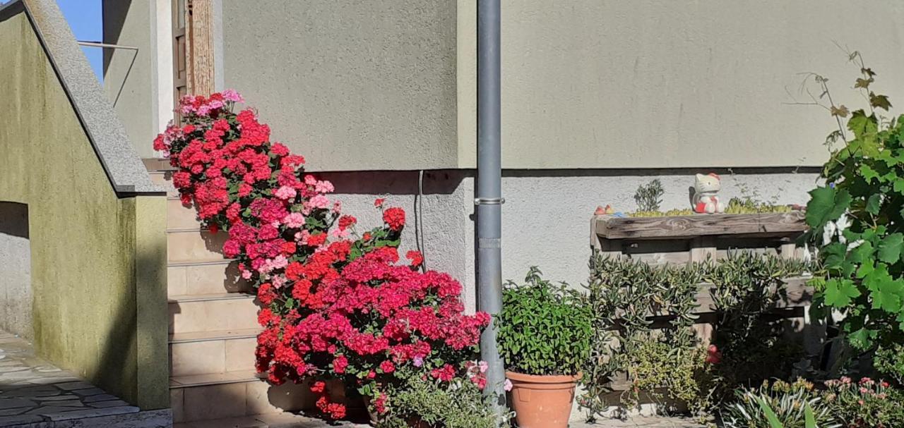 Ferienwohnung Kelk Loznati Exterior foto